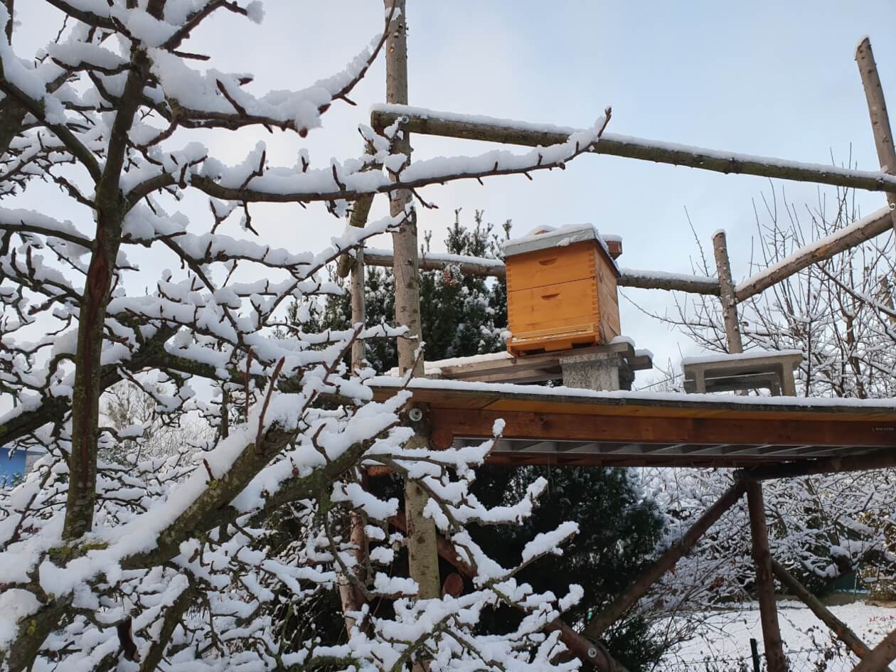 Bienen im Winter – Wiener Prater-Honig